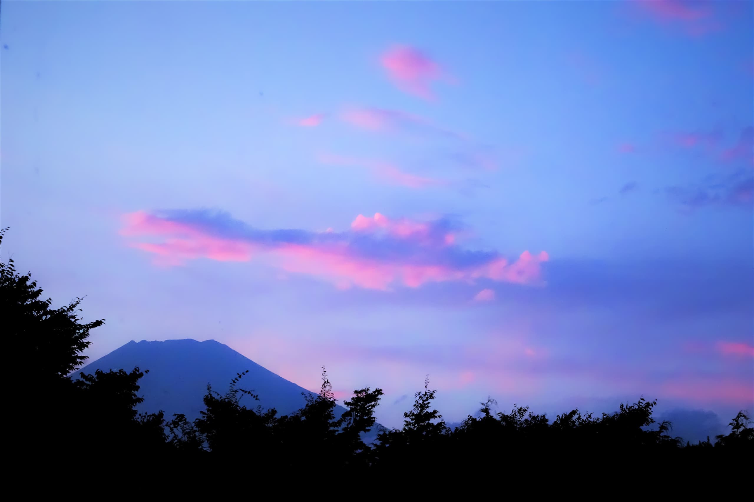 dsc05063-2.jpg