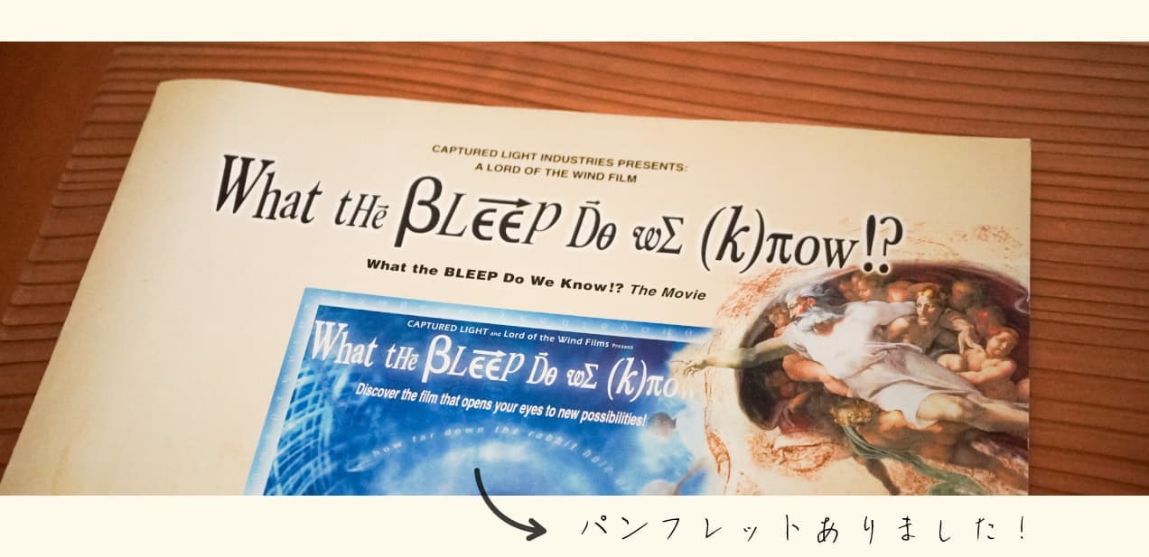 What the bleep do we know!?パンフレット