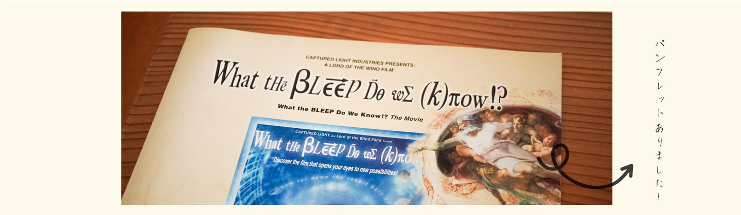 What the bleep do we know!?パンフレット