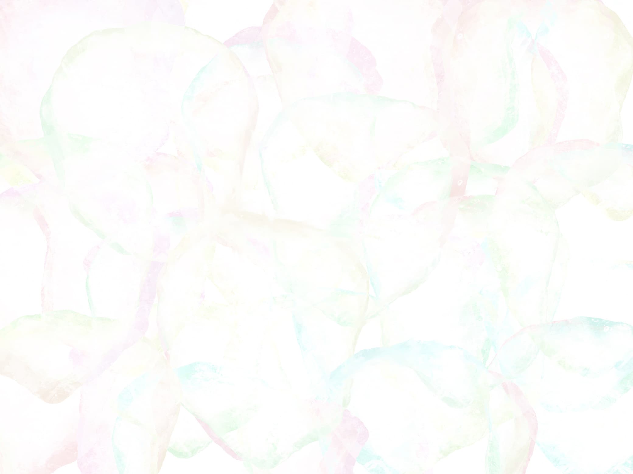 adobestock_562435660_20241130230310442.jpg