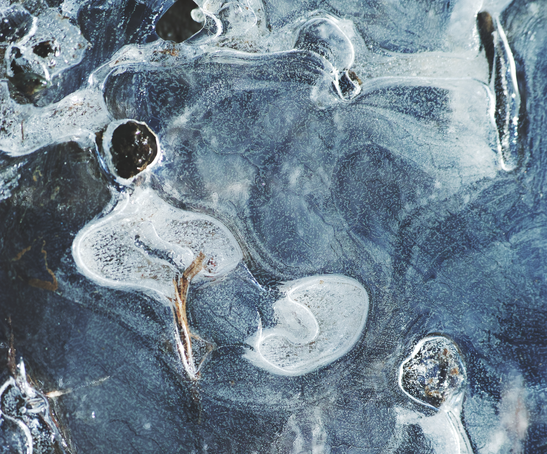sdim0282-2-45p.png